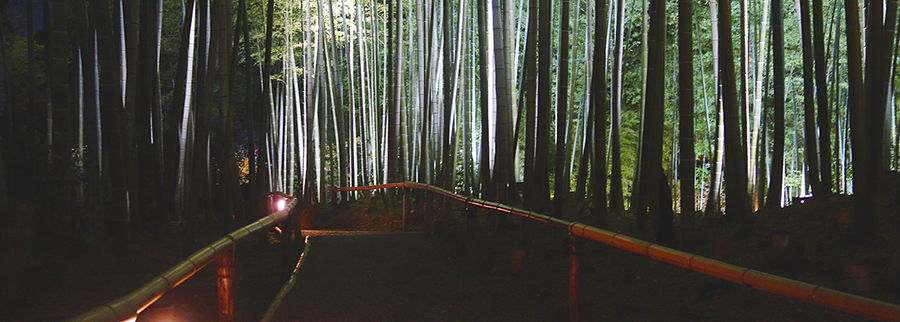 El goshuin, un recuerdo único de Japón